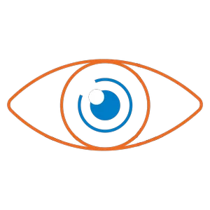 Excellus Eye Icon